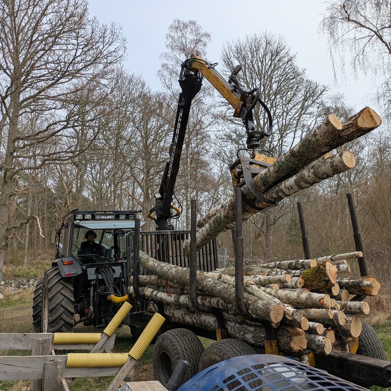 Skotning av timmer